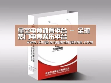 项目名称十三