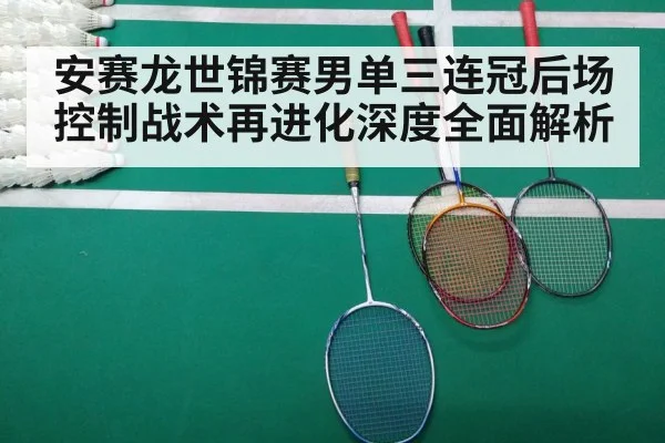 badminton final match