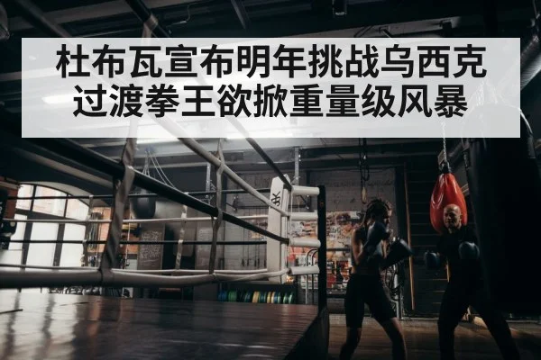 boxer training
