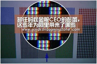 卸任蚂蚁金服CEO的彭蕾,这些年为阿里带来了哪些改变_星空娱乐(图1) 星空娱乐